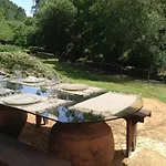 Saberamar Little Country *