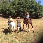 Saberamar Little Country * Arouca