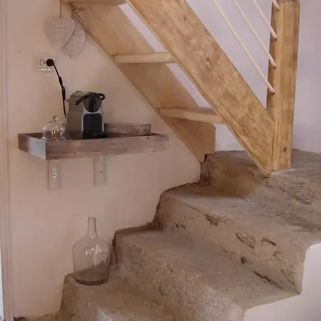 Saberamar Little Country * アロウカ