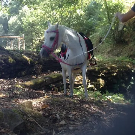 Saberamar Little Country