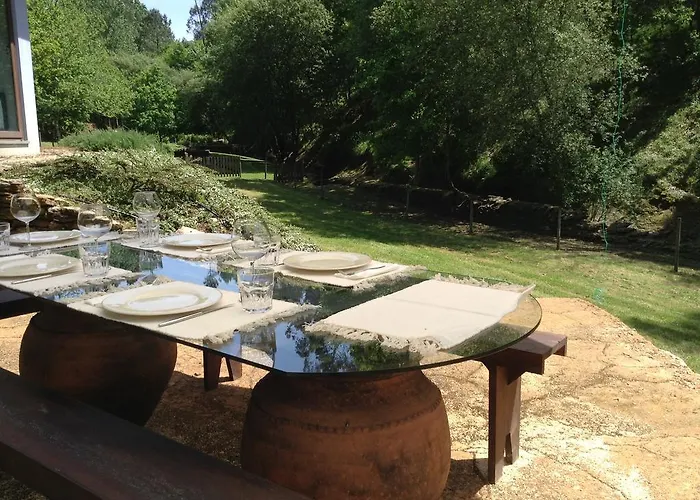 Saberamar Little Country *