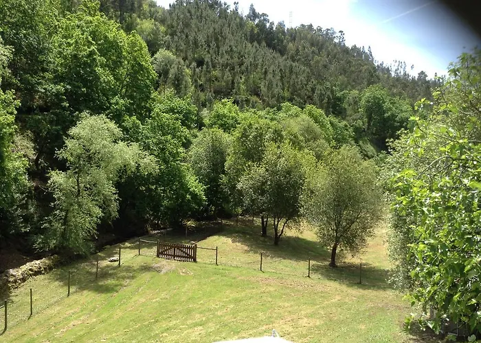 Saberamar Little Country * Arouca