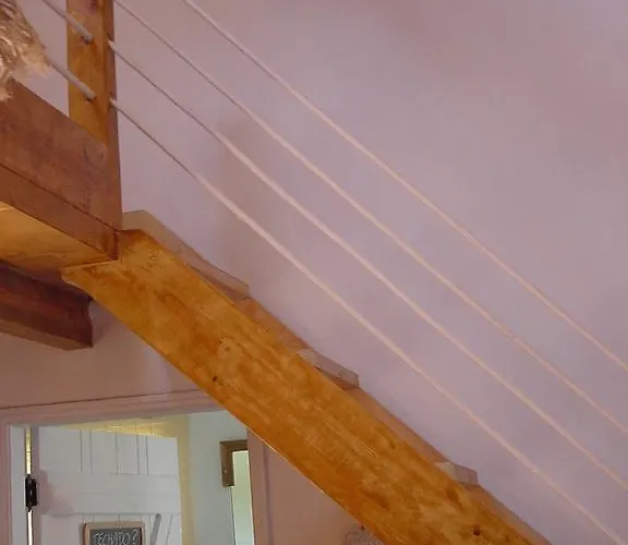 Saberamar Little Country *