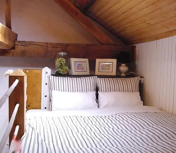 Saberamar Little Country 아로카