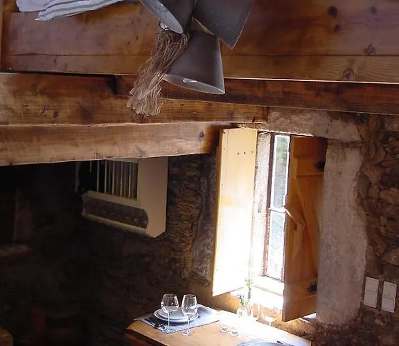 Saberamar Little Country *