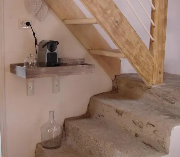 Saberamar Little Country * 아로카