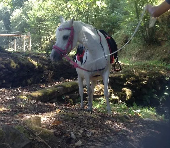 Saberamar Little Country