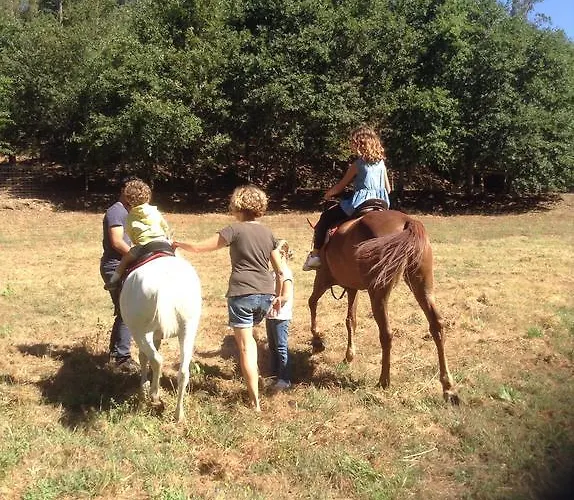 Saberamar Little Country * Arouca