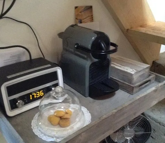 Saberamar Little Country * 아로카